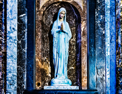 Fotografie